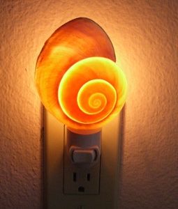 Brown Snail Sea SHELL Nautical Beach Decor NIGHTLIGHT